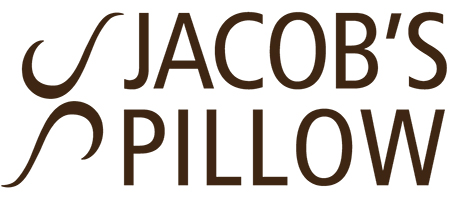 The Pillow Store